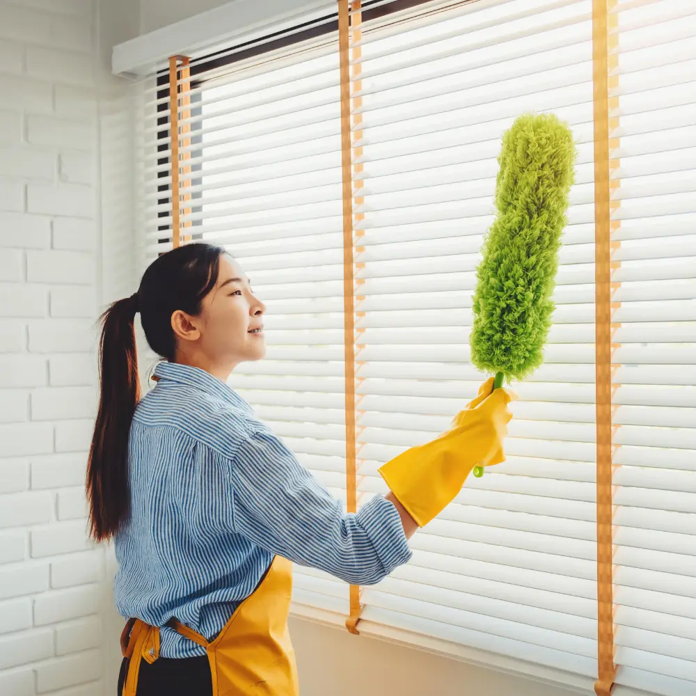 5 Bedroom Villa Apartment Window Cleaning Service